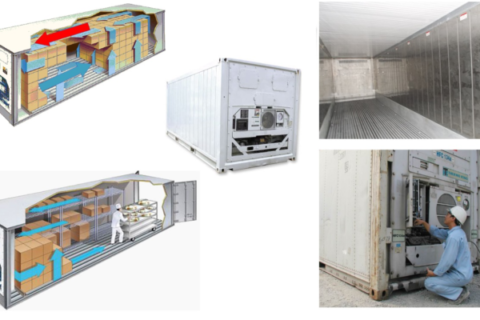 Cau Tao Container Lanh.1