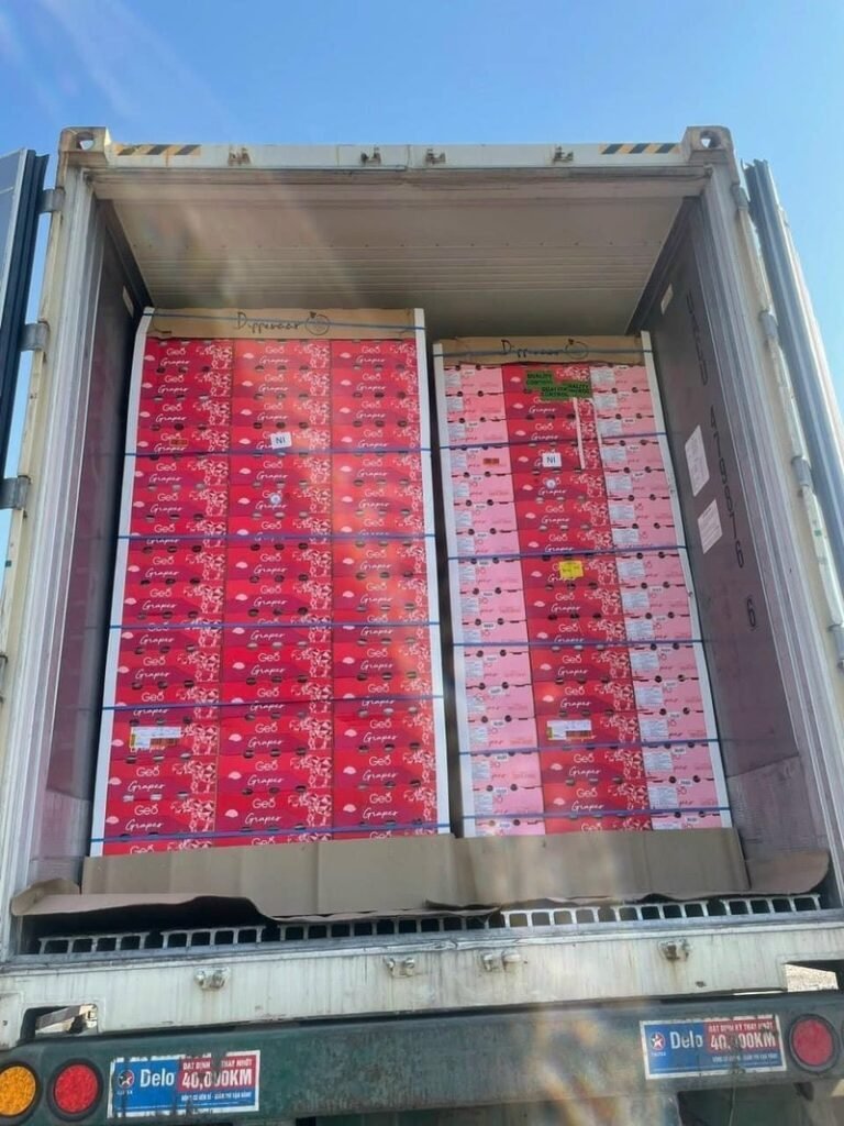 Container trong ngành công nghiệp thực phẩm