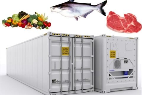 Ung Dung Container Lanh Trong Bao Quan Hai San 1